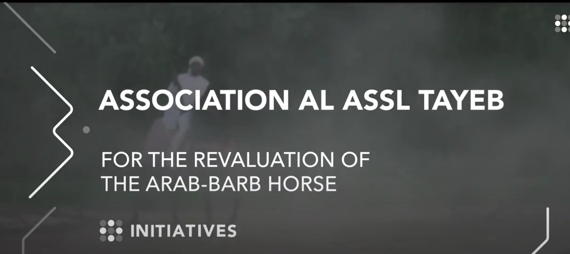 AI ASSL TAYEB ASSOCIATION: THE REVIVAL OF THE<BR> ARAB-BARB HORSE